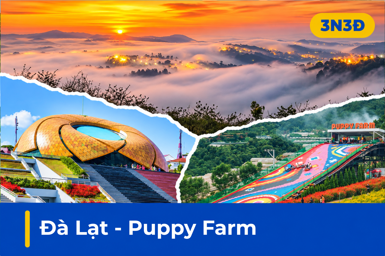 Tour Đà Lạt 3N2Đ | Puppy Farm, Langfarm, Mongo Land, Trúc Lâm