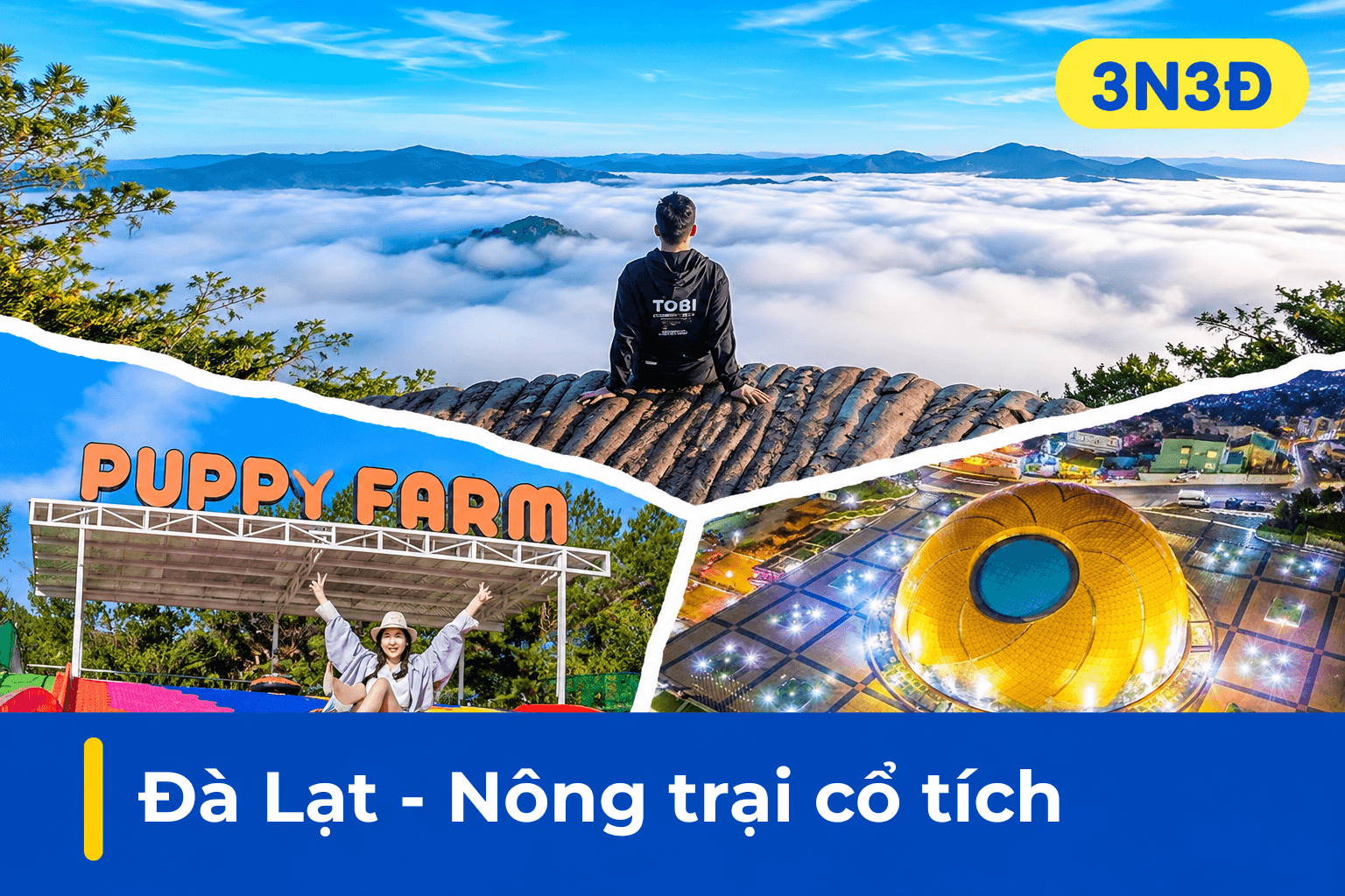 Tour Đà Lạt 3N3Đ đi đêm | Săn mây Đà Lạt View, Puppy Farm, Langfarm
