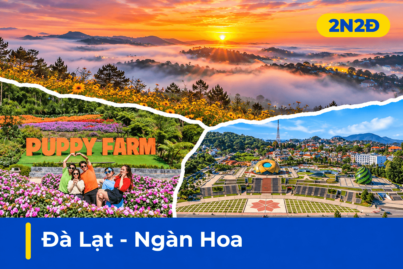Tour Đà Lạt 2N2Đ | Đà Lạt View, Puppy Farm, Thác Bobla
