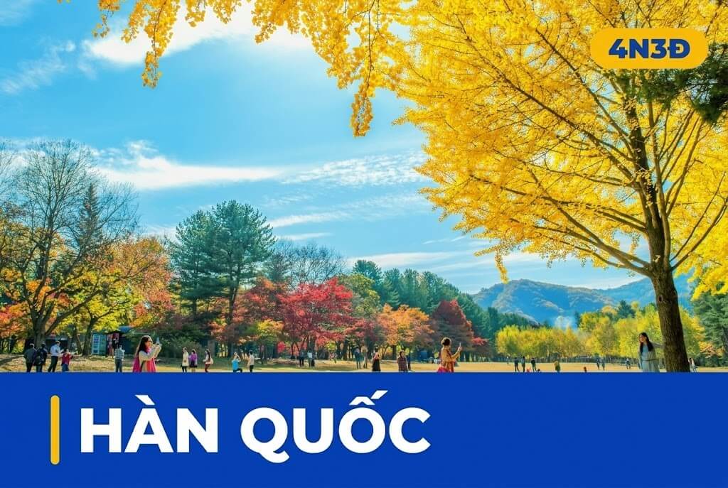 LT HÀN QUỐC